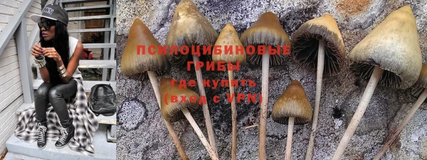 мяу мяу мука Абаза