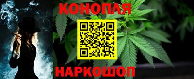 Альфа ПВП Пенза