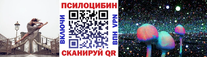 Псилоцибиновые грибы Cubensis купить наркотик Тольятти